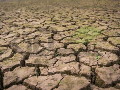 فرسایش سالانه یک سانتی‌متر خاک خراسان شمالی؛ هشدار منابع طبیعی