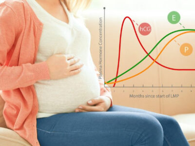 هورمون‌ها و هیجان‌ها: علم پنهان بارداری