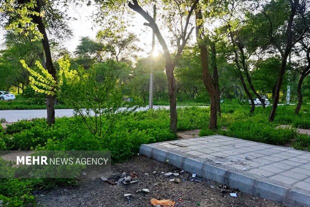 گمبوعه؛ از جنگل دستکاشت تا الگوی توسعه سبز در خوزستان گمبوعه؛ از جنگل دستکاشت تا الگوی توسعه سبز در خوزستان