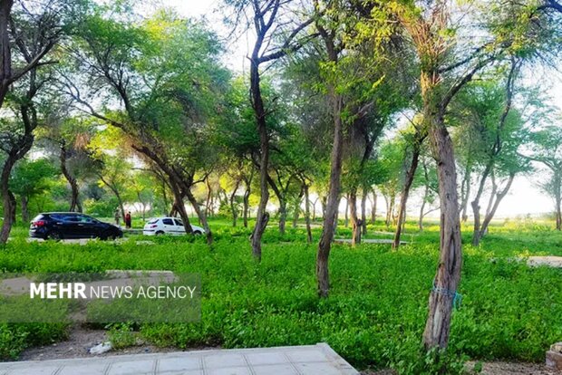 گمبوعه؛ از جنگل دستکاشت تا الگوی توسعه سبز در خوزستان گمبوعه؛ از جنگل دستکاشت تا الگوی توسعه سبز در خوزستان