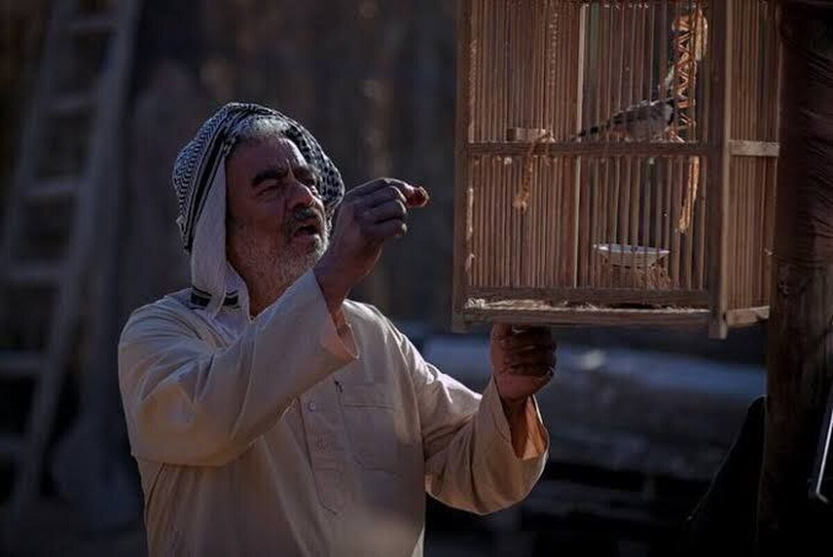 آیا سینمای ایران در دام پیام و کلیشه گرفتار شده است/نگاهی به«حاشیه»،«پل» و «کافه سلطان» آیا سینمای ایران در دام پیام و کلیشه گرفتار شده است/نگاهی به«حاشیه»،«پل» و «کافه سلطان»