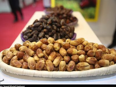 اختصاص 100 میلیارد تومان تسهیلات برای توسعه خوشه خرمای خوزستان