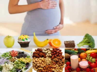 تأثیر کمبود پروتئین بر تکامل اندامهای حیاتی جنین