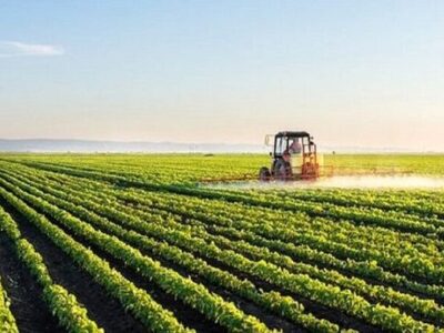 تعهدات ارزی و قوانین موجودتولید و صادرات کشاورزی را از رمق انداخته است