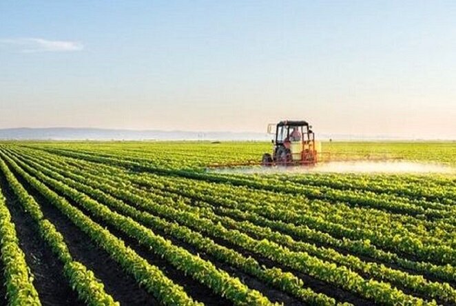 تعهدات ارزی و قوانین موجودتولید و صادرات کشاورزی را از رمق انداخته است