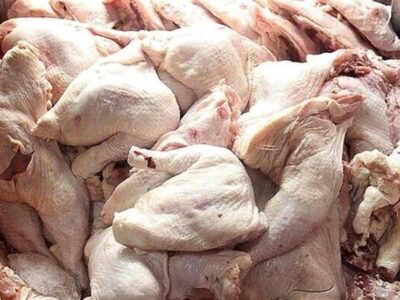 خرید روزانه 100 تن مرغ با هدف حمایت از مرغداران و تنظیم بازار اصفهان