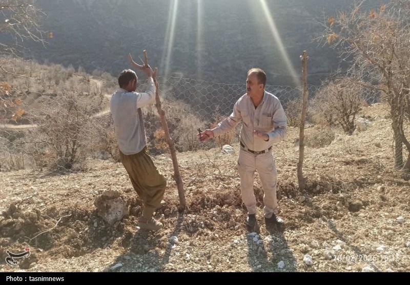 دستاندازی به انفال در دنا ناکام ماند+تصاویر سازمان منابع طبیعی , نظام مسائل استان کهگیلویه و بویراحمد , اخبار استان کهگیلویه و بویراحمد ,