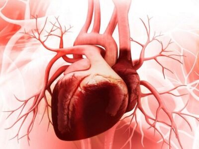 سلامت قلب افراد شب زنده دار در معرض خطر است