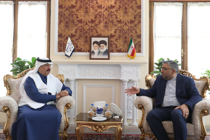 عمویی: همگرایی ایران و عربستان، گامی به سوی ثبات منطقه است