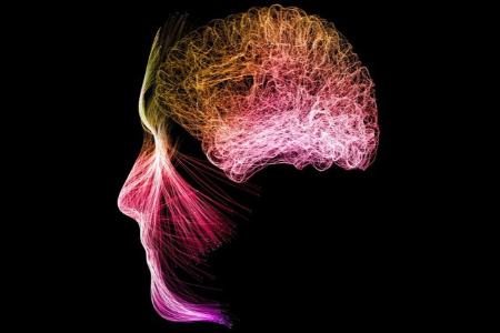 مغز،اخبار پزشکی،خبرهای پزشکی مدیتیشن فعالیت مغز را تغییر میدهد