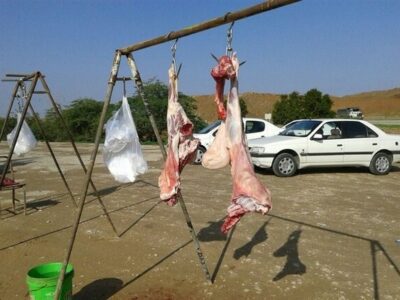 مدیرکل دامپزشکی کرمانشاه: مقابله با کشتار غیرمجاز اولویت ماست