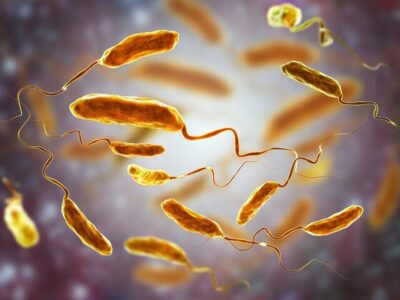 مرگ مشکوک مرد انگلیسی/ پای وبا در میان است؟