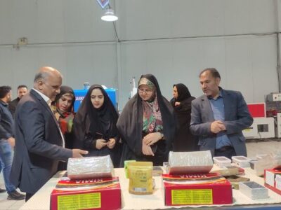 مشاغل خانگی زنان در بهبود معیشت خانواده‌های شرق کرمان نقش کلیدی دارد