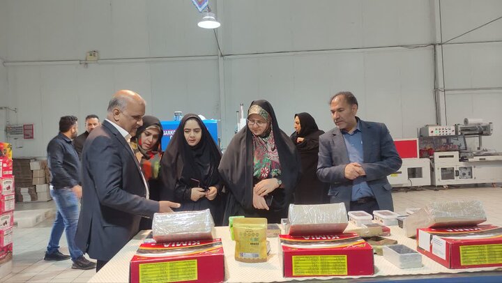 مشاغل خانگی زنان در بهبود معیشت خانواده‌های شرق کرمان نقش کلیدی دارد