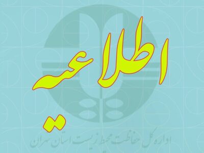 مشمولان بخوانند/ جزئیات جدید تأیید سوابق تحصیلی کنکور اعلام شد