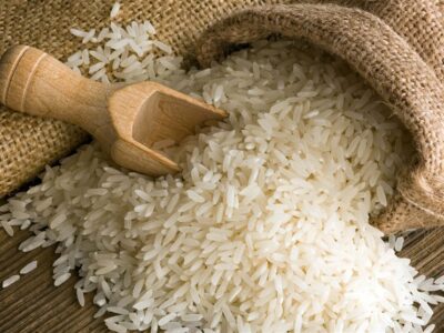 وقتی فناوری هستهای پای شالیزارها آمد؛ انقلاب برنج با “طارم روشن”