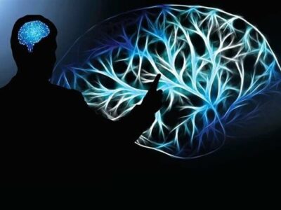 چاکرای باز و عقل بسته