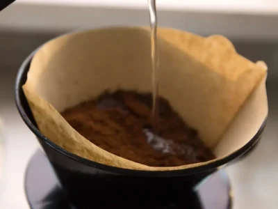 چطور با فیلتر قهوه سلامت ریشه گیاهان خود را تضمین کنید؟