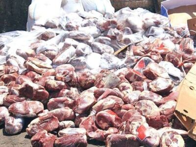 کرمیان: ۳۰۰ کیلو گوشت ناسالم در کرمانشاه معدوم شد