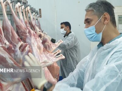 ۱۸ هزار و ۳۲۹ بازدید نظارتی توسط دامپزشکی استان زنجان انجام شده است