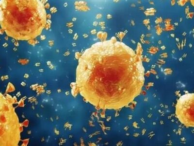 آخرین وضعیت آنفلوآنزا و کرونا در کشور اعلام شد