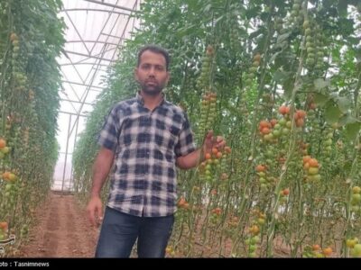 این مرد زنجانی چگونه از شیمی به امپراتوری گلخانه‌ای رسید؟