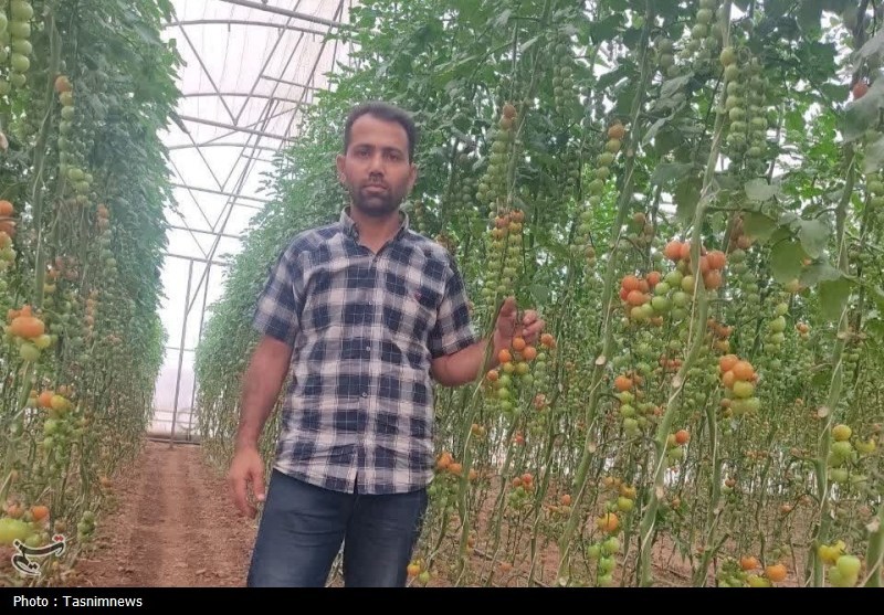 این مرد زنجانی چگونه از شیمی به امپراتوری گلخانه‌ای رسید؟