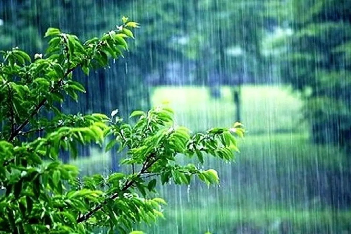 ترسالی نسبی در برخی استانهای کشور / میانگین بارندگی در تهران کمتر از نرمال است