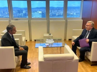 جزئیات دیدار اولیانوف با گروسی درباره وضعیت خلیج فارس