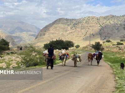 آغاز کوچ بهاره عشایر ایلام؛تمام راه های کوچ ییلاقی باز است