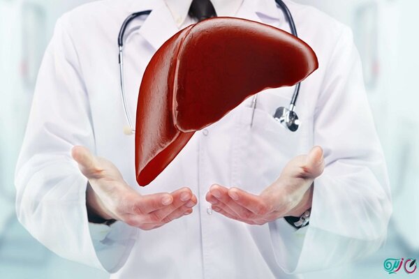 اخبار،اخبار جدید،اخبار روز