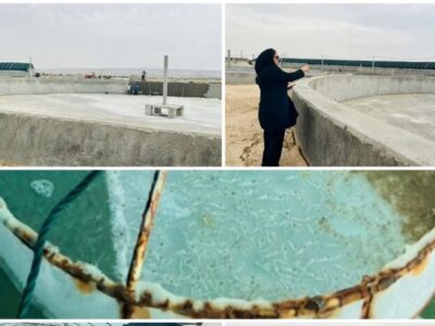 به‌روزرسانی زیرساخت‌های پرورش میگو در استان بوشهر