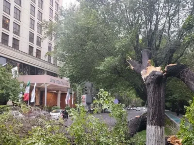 تازه‌ترین آمار از تعداد مصدومان طوفان امروز در تهران