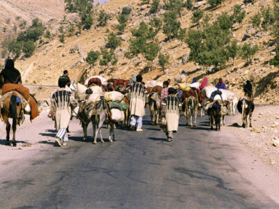 تاکنون حدود ۳۰ درصد از عشایر به نزدیکی مرزهای استان اصفهان رسیده‌اند