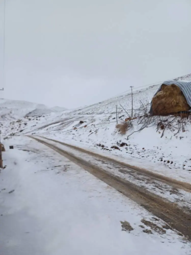 تصاویر دیدنی از بارش برف بهاری در خلخال