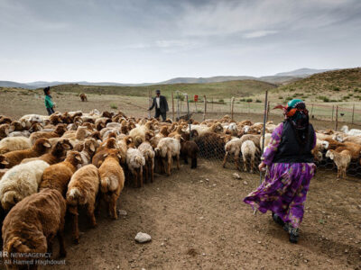 تمام مسیرهای کوچ ییلاقی ایلام بازگشایی شد