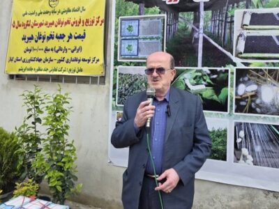 تولید نخ ابریشم ایران به 250 تن رسید