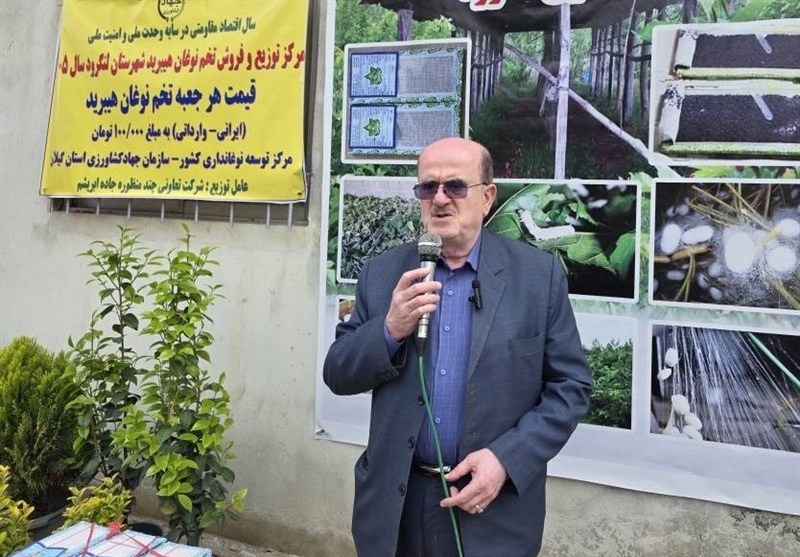 تولید نخ ابریشم ایران به 250 تن رسید