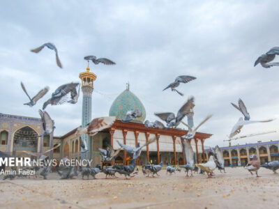 حضرت شاهچراغ(ع) پرچم‌دار جهاد تبیین است