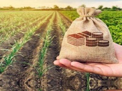 سرمایه صندوق کشاورزی مازندران افزایش یابد