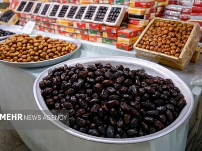 صادرات ۲۱ محصول کشاورزی آزاد شد