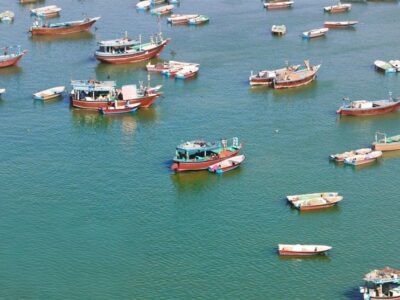 صیادان بوشهر؛ نگهبانان بی‌صدای خلیج فارس در روزهای التهاب و جنگ