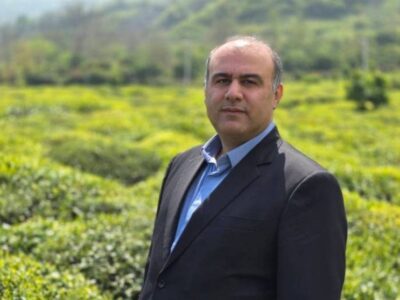 لنگرود قهرمان پرداخت مطالبات چای/ 3 ماه زودتر از سایر شهرستان‌ها