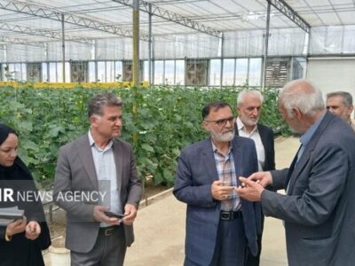 «نظارت مستمر» ضریب خودکفایی را بالا می‌برد؛ «کشاورزان» مجاهدان بی‌ادعا