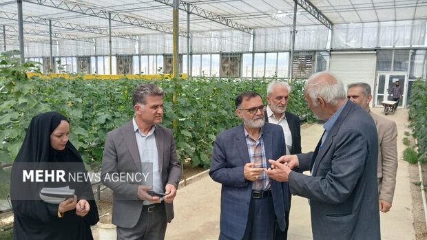 «نظارت مستمر» ضریب خودکفایی را بالا می‌برد؛ «کشاورزان» مجاهدان بی‌ادعا