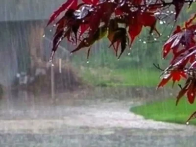 هشدار جدی هواشناسی صادر شد/ بارش‌های پراکنده و ورزش باد مهمان این استان
