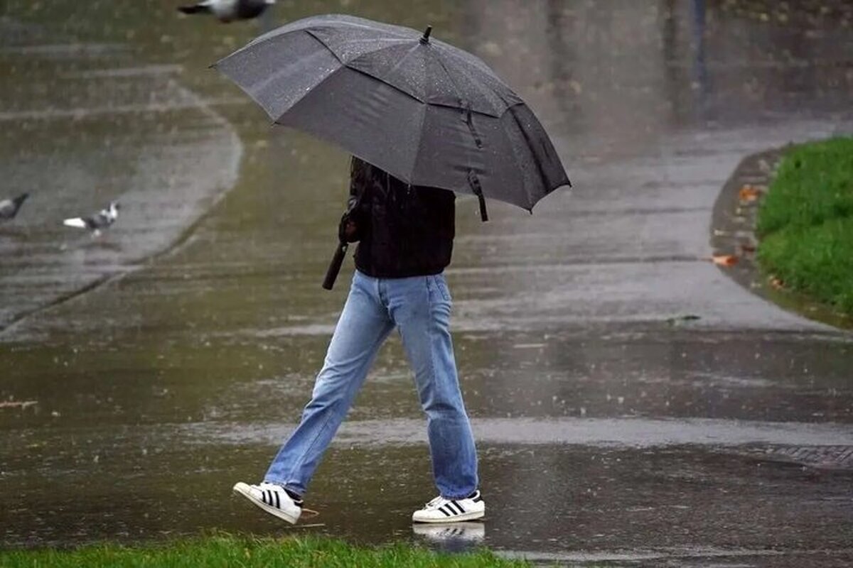 هشدار مهم هواشناسی/ آغاز بارش برف و باران در این استانها