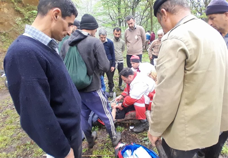 پایان 4 روز بیم و امید در جنگل‌های گیلان/ جوان مفقودشده پیدا شد