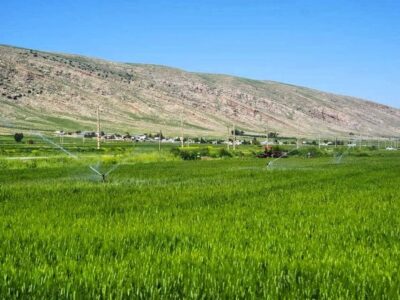 کریمی: ۱۸ هزار هکتار از اراضی سامانه گرمسیری به بهره‌برداری رسید