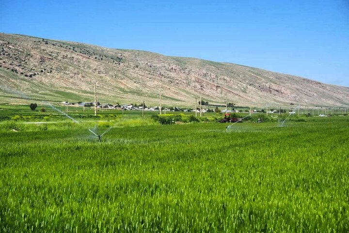 کریمی: ۱۸ هزار هکتار از اراضی سامانه گرمسیری به بهره‌برداری رسید